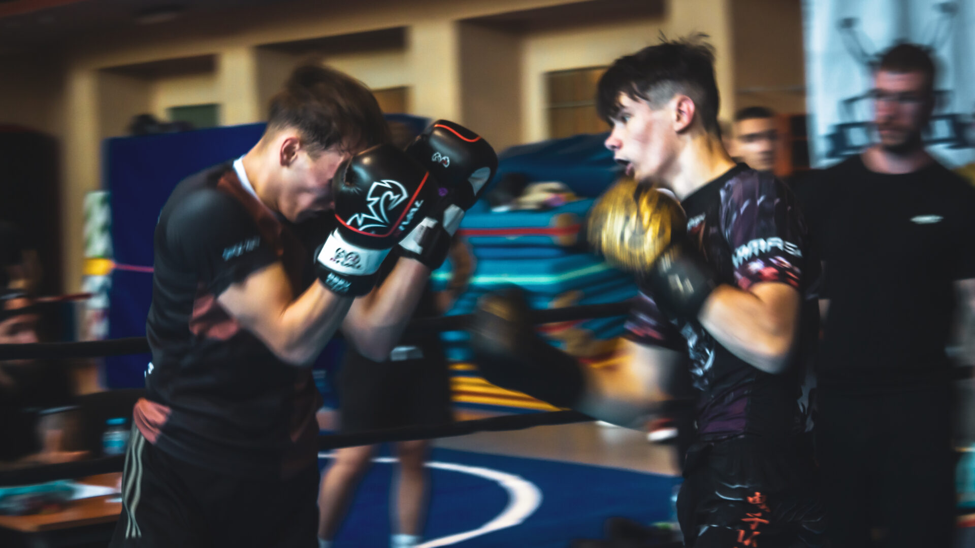 Zawody Bokserskie Fest szlag - ks stein academy z medalami