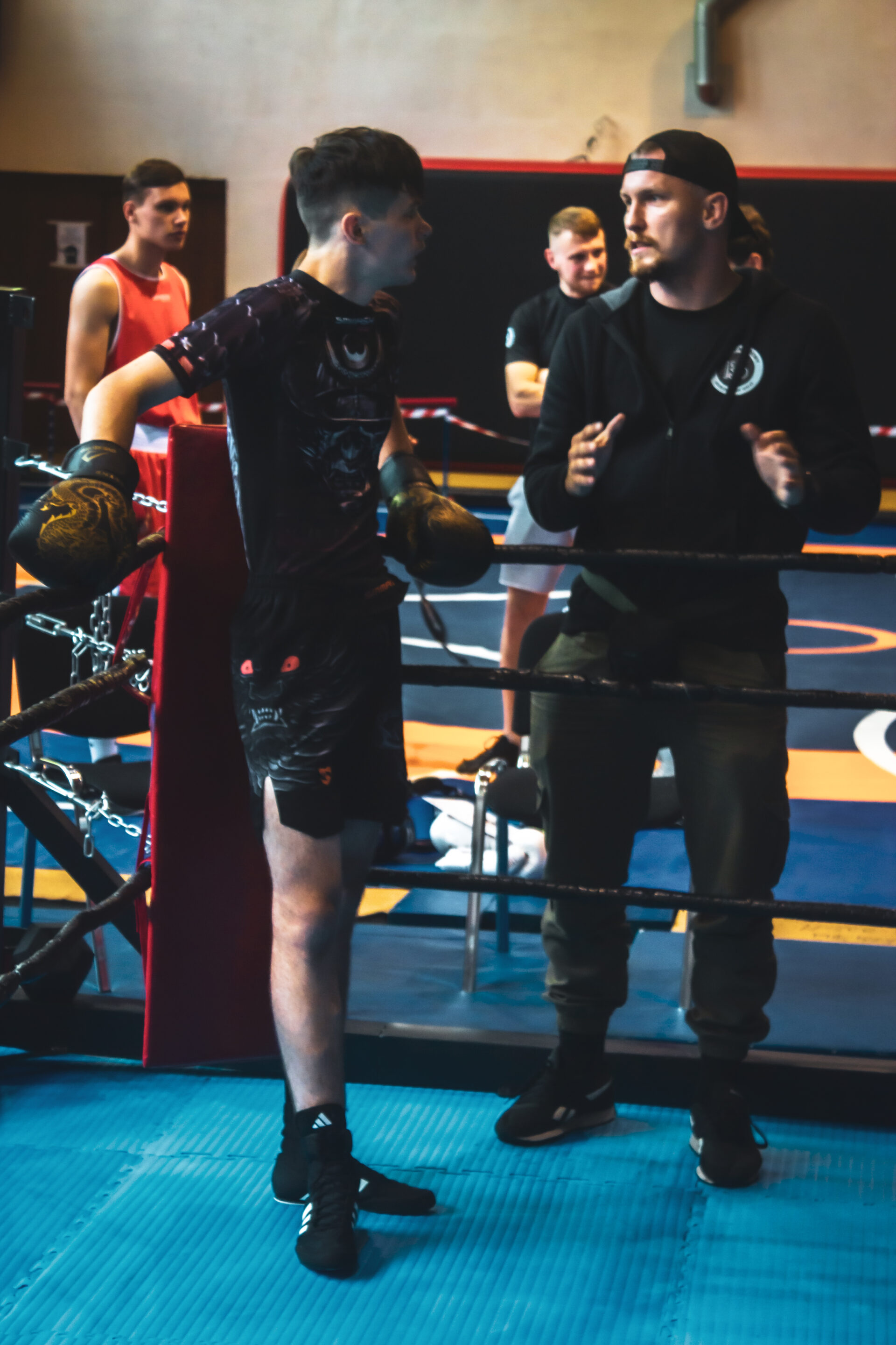 Zawody Bokserskie Fest szlag - ks stein academy z medalami