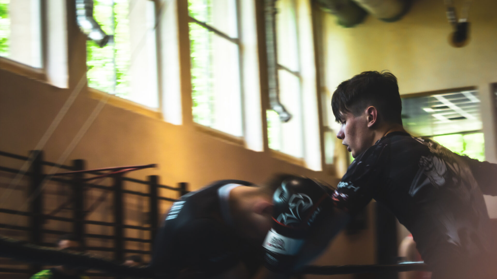 Zawody Bokserskie Fest szlag - ks stein academy z medalami