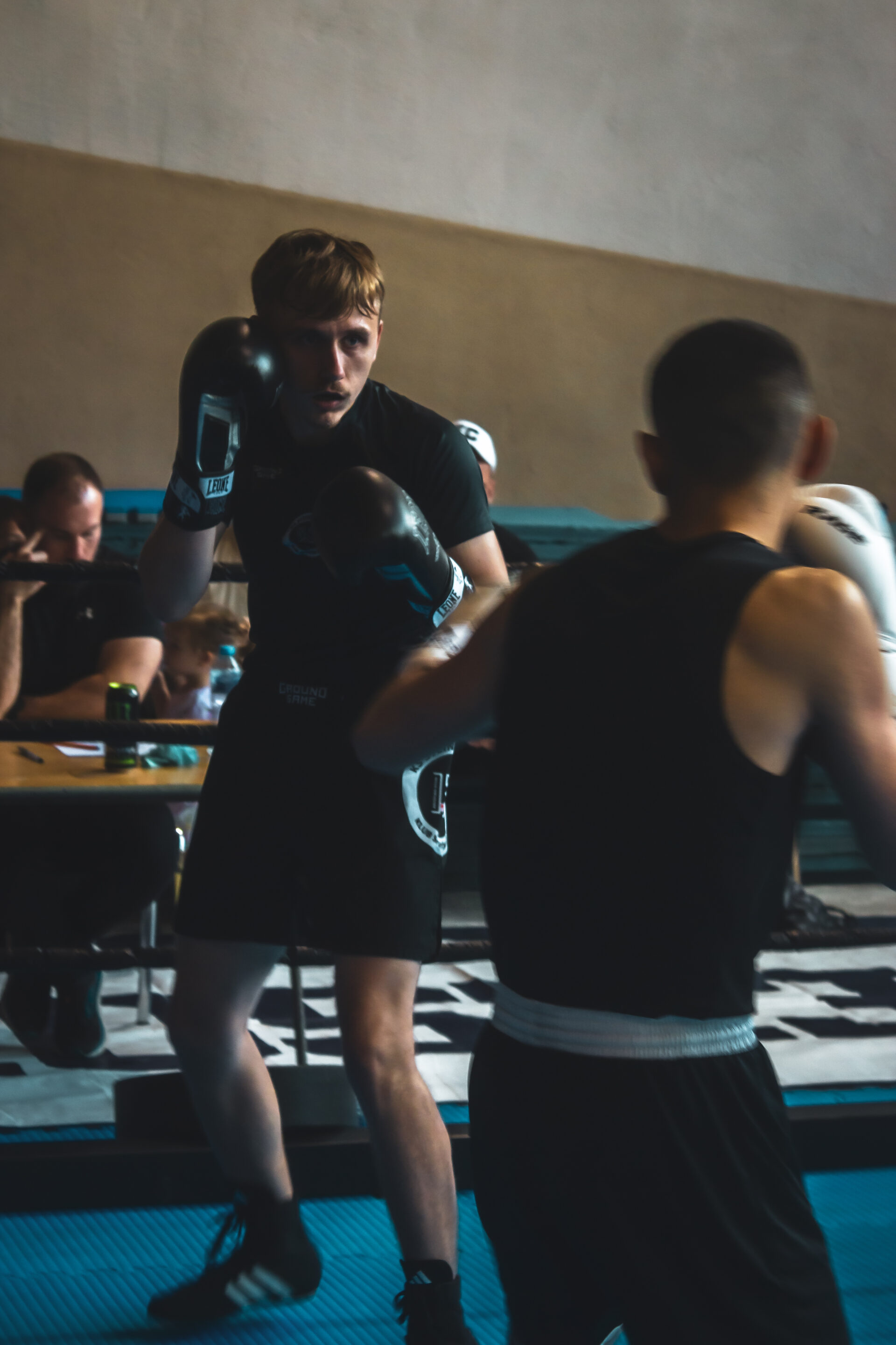 Zawody Bokserskie Fest szlag - ks stein academy z medalami