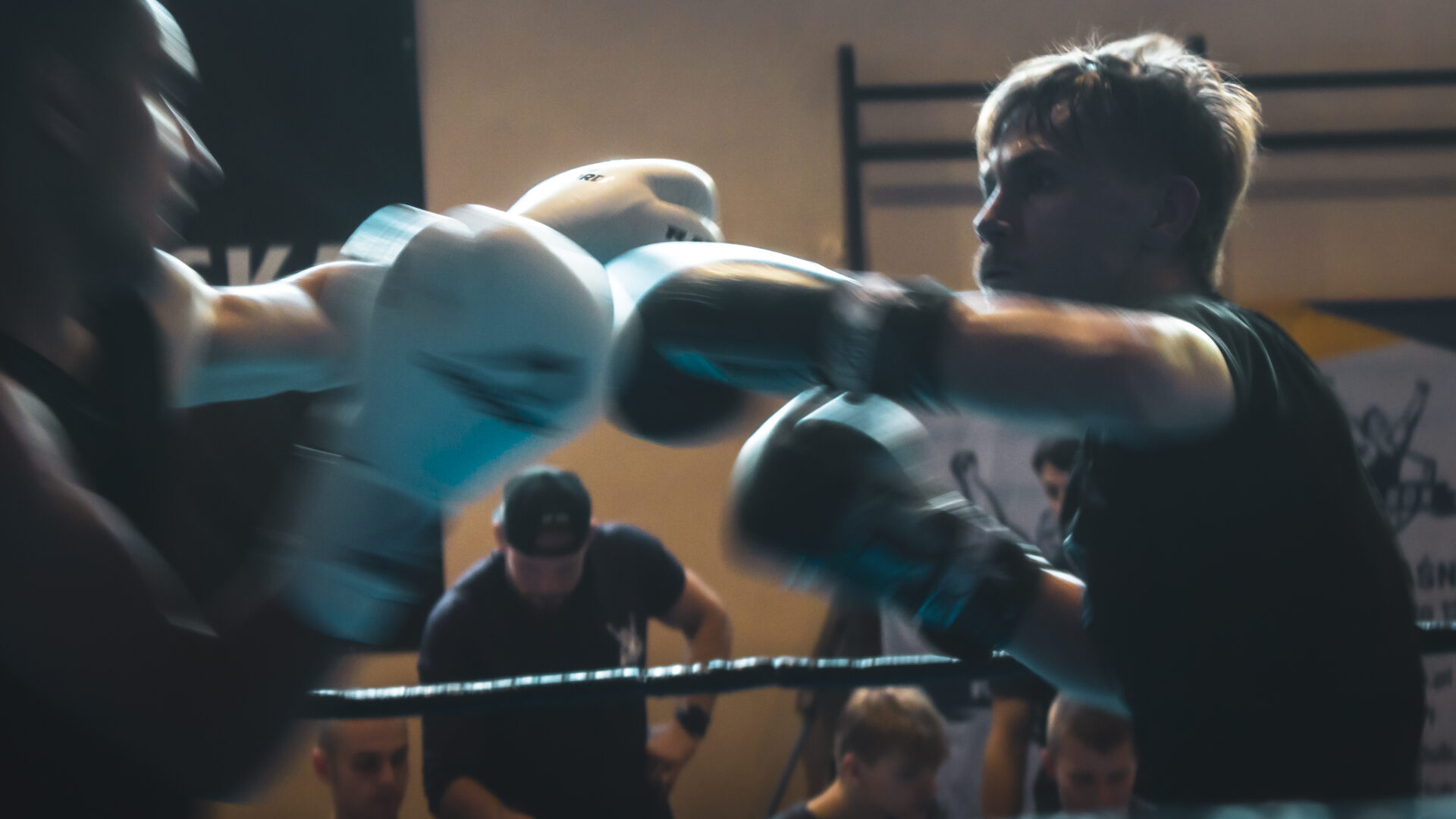 Zawody Bokserskie Fest szlag - ks stein academy z medalami