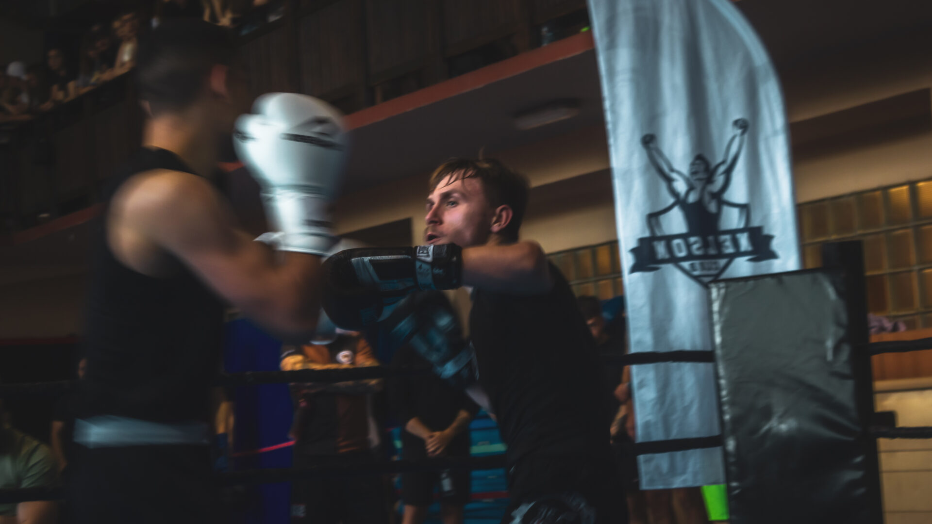 Zawody Bokserskie Fest szlag - ks stein academy z medalami