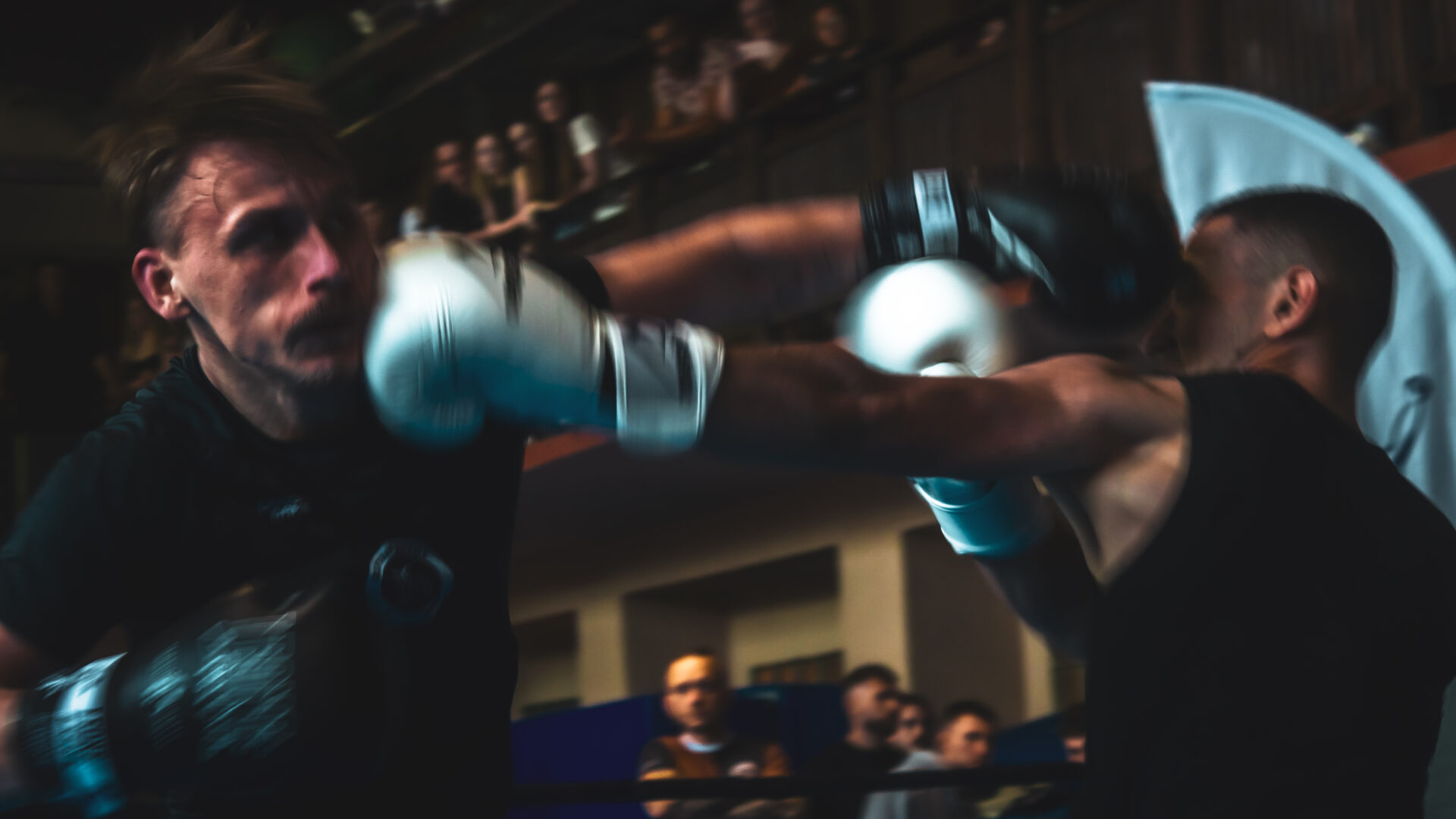 Zawody Bokserskie Fest szlag - ks stein academy z medalami
