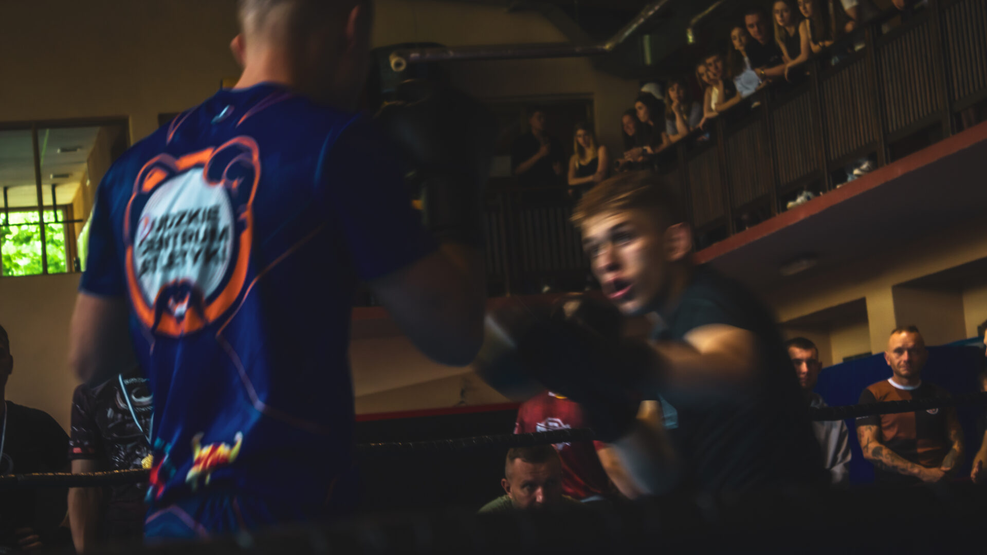 Zawody Bokserskie Fest szlag - ks stein academy z medalami