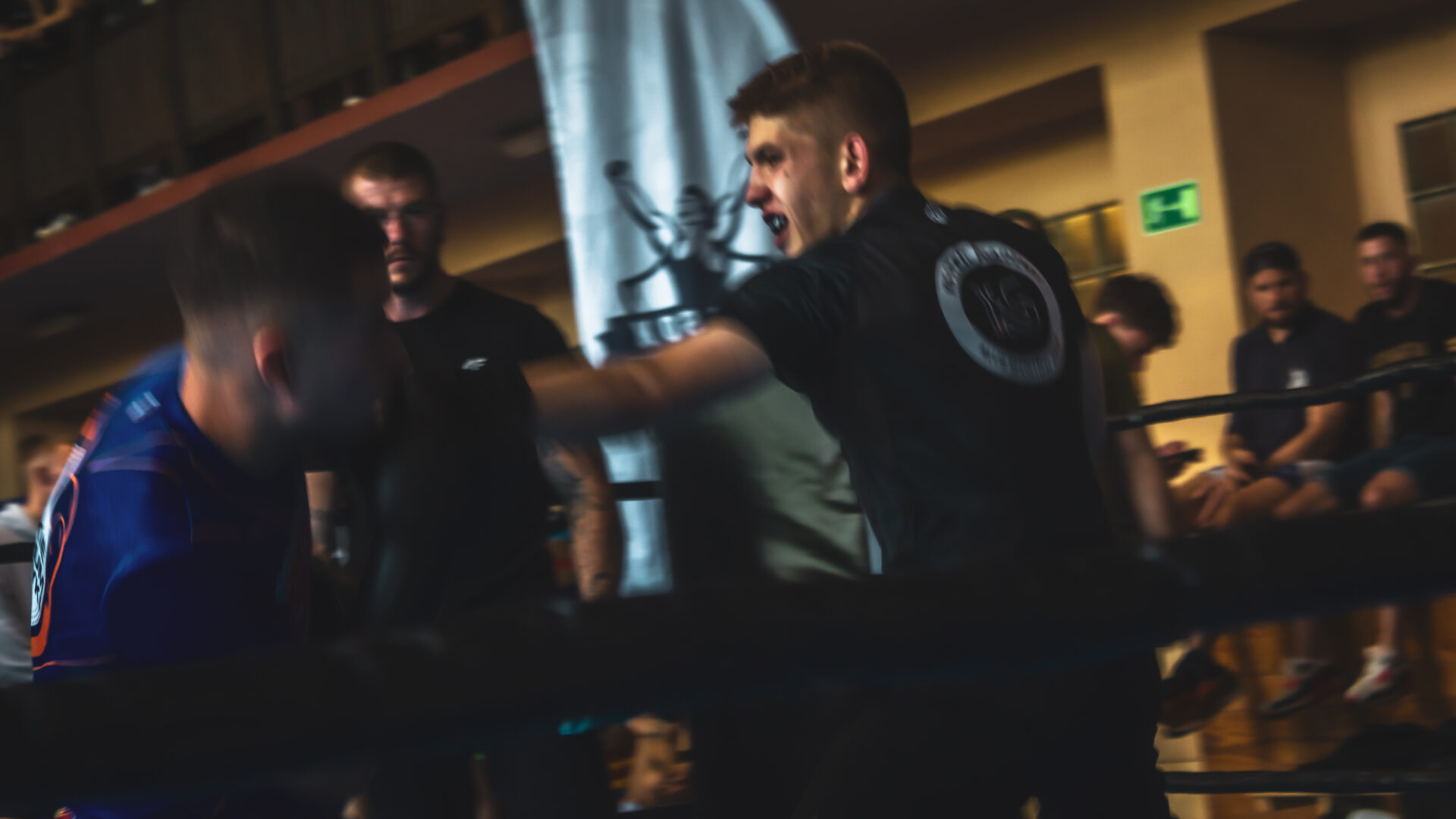 Zawody Bokserskie Fest szlag - ks stein academy z medalami