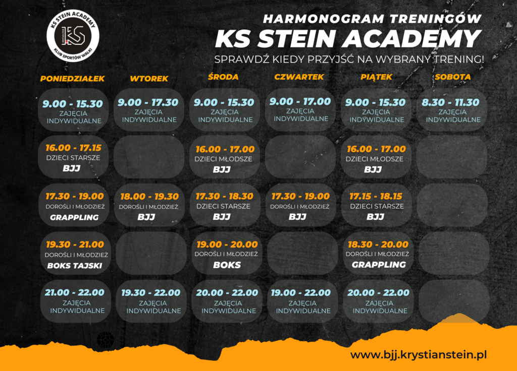 Harmonogram zajęć sportów walk w klubie ks stein academy w rydułtowach