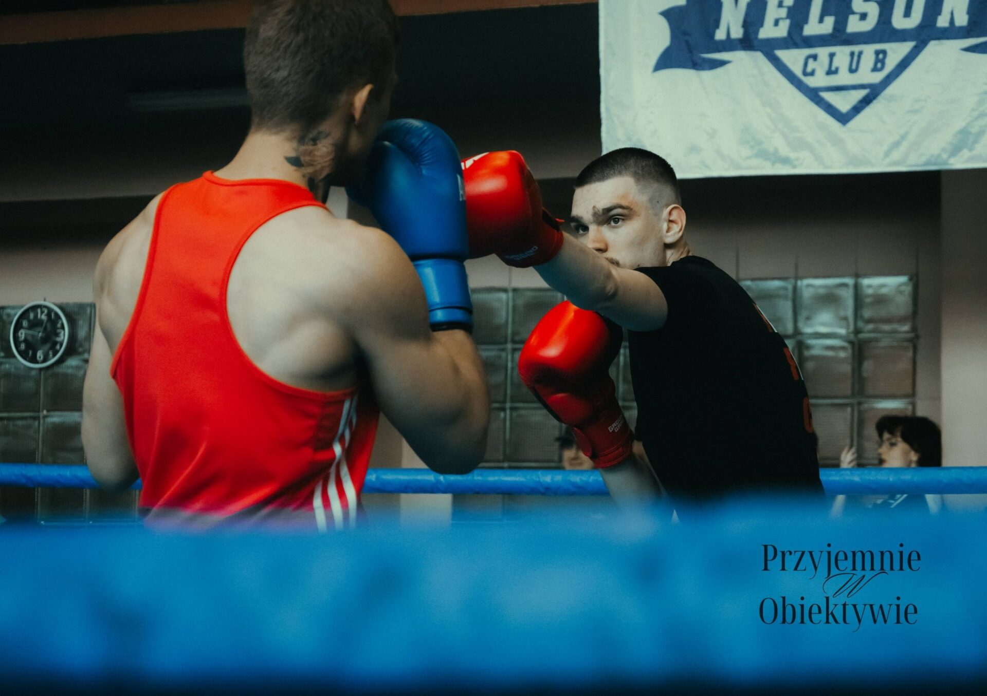 Zawody bokserskie Fest Szlag 3 - Bokserzy KS STEIN ACADEMY - Klub sportów walk Rydułtowy
