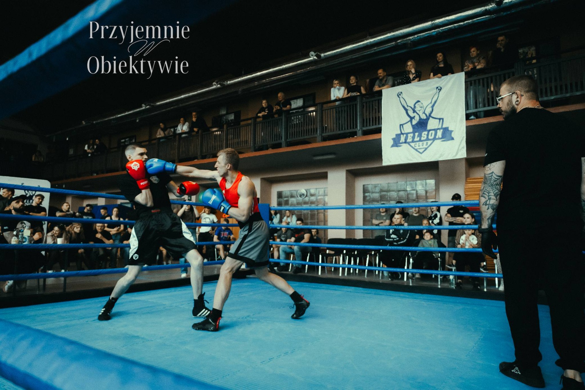 Zawody bokserskie Fest Szlag 3 - Bokserzy KS STEIN ACADEMY - Klub sportów walk Rydułtowy